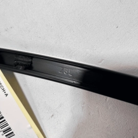 ACURA TLX 2015 - 2020  REAR LEFT DRIVER SIDE DOOR WINDOW GUIDE RUN CHANNEL 