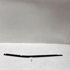 Rear Left Driver Door Window Inner Weatherstrip Seal OEM 2018-2023 GMC Terr