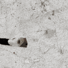 2015 - 2021 LEXUS NX300 NX200T TAILGATE LIFTGATE ANTENNA CABLE CORD HARNESS