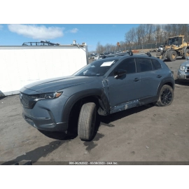 2023 MAZDA CX-50 FRONT RIGHT PASSENGER DOOR REARWARD APPLIQUE GARNISH TRIM 