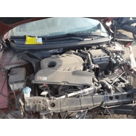 HYUNDAI SONATA 2011-2023 REAR LEFT DRIVER SIDE DOOR LOWER & UPPER HINGE OEM