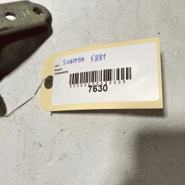HYUNDAI SONATA 2011-2023 REAR LEFT DRIVER SIDE DOOR LOWER HINGE OEM RED