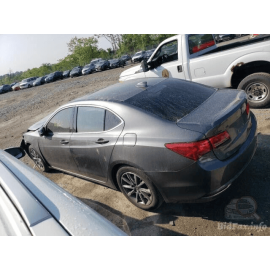 15-20 ACURA TLX FRONT RIGHT PASSENGER DOOR LOWER WEATHERSTRIP SEAL OEM