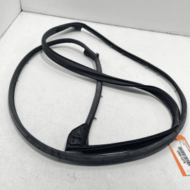 2018 - 2023 TOYOTA CAMRY FRONT LEFT DRIVER SIDE ON DOOR WEATHERSTRIP SEAL O