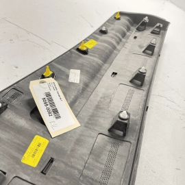 2018 - 2022 GMC Terrain Rear Left Driver Side Door Molding Trim Cover LH OE