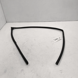 2015-2021 Lexus NX200T NX300 Front Driver Door Window Glass Run Channel Sea