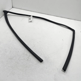 2015-20 Acura TLX Front Left Driver Side Door Window Glass Run Channel Seal