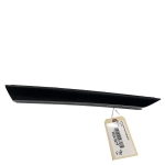 HONDA ACCORD 2018-2020 FRONT PASSENGER SIDE DOOR PANEL TRIM COVER MOLDING O