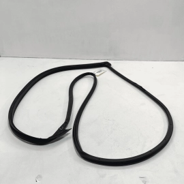 2015-2020 ACURA TLX TECH+A FRONT LEFT DRIVER SIDE DOOR OUTER WEATHER STRIP 