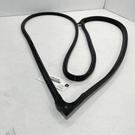 2015-2020 ACURA TLX TECH+A FRONT LEFT DRIVER SIDE DOOR OUTER WEATHER STRIP 