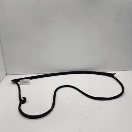 2018 - 2023 TOYOTA CAMRY FRONT PASSENGER SIDE DOOR SEAL RUBBER WEATHERSTRIP