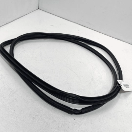 18-2023 TOYOTA CAMRY FRONT RIGHT PASSENGER SIDE DOOR BODY WEATHERSTRIP SEAL