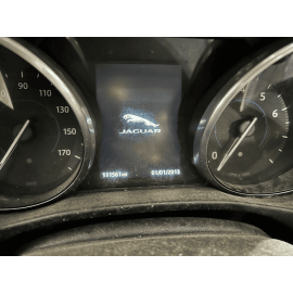 2017-2020 JAGUAR XE FRONT LEFT DRIVER LH SIDE DOOR SPEAKER GRILLE COVER TRI