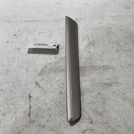 VOLKSWAGEN PASSAT 2016-2019 FRONT DRIVER SIDE DOOR PANEL MOLDING TRIM COVER VOLKSWAGEN PASSAT 2016-2019 FRONT DRIVER SIDE DOOR PANEL MOLDING TRIM COVER