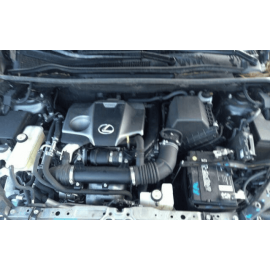 DEFECT! Lexus NX200T NX300H 2015-21 Rear Passenger Side Door Shell Panel OE