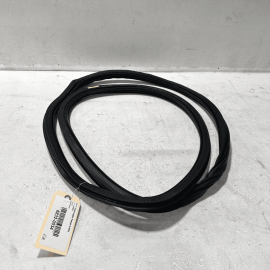 VOLKSWAGEN PASSAT 2012-2022 REAR RIGHT PASSENGER DOOR WEATHERSTRIP SEAL OEM