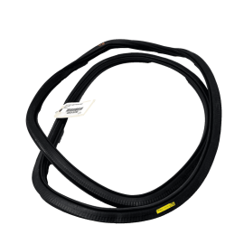 VOLKSWAGEN PASSAT 2012-2022 REAR LEFT DRIVER SIDE DOOR WEATHERSTRIP SEAL OE