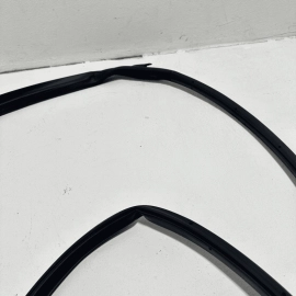 ACURA TLX 2015-2020 FRONT LEFT DRIVER SIDE DOOR SEAL WHEATHERSTRIP OEM