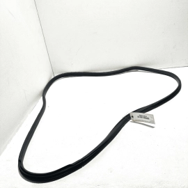 ACURA TLX 2018-2020 FRONT LEFT DRIVER SIDE DOOR BODY WEATHERSTRIP SEAL OEM