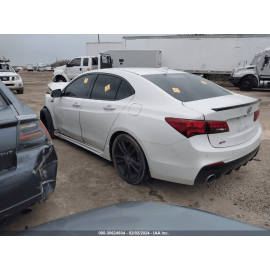 ACURA TLX 2015-2020 FRONT LEFT DRIVER SIDE DOOR LOWER WEATHERSTRIP SEAL OEM