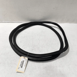 2018-2023 VOLKSWAGEN ATLAS REAR DRIVER SIDE DOOR BODY WEATHERSTRIP SEAL OEM
