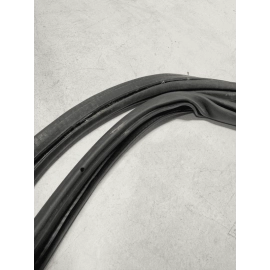 2018-2023 VOLKSWAGEN ATLAS REAR DRIVER SIDE DOOR BODY WEATHERSTRIP SEAL OEM