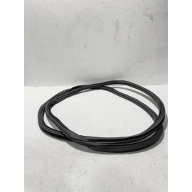 2018-2023 VOLKSWAGEN ATLAS REAR DRIVER SIDE DOOR BODY WEATHERSTRIP SEAL OEM
