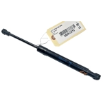2014-20 Infiniti Q50 Rear Left or Right Side Trunk Lid Lift Support Cylinde