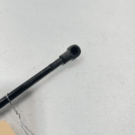 Infiniti Q50 Rear Left or Right Side Trunk Lid Lift Support Cylinder OEM 20