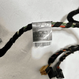 REAR PASSENGER SIDE DOOR WIRE HARNESS WIRING 2010-2016 PORSCHE PANAMERA OEM