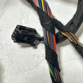 2010-2016 PORSCHE PANAMERA FRONT LEFT DRIVER SIDE DOOR WIRE HARNESS SET OEM