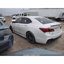 Front Left / Driver Side Door Lower Hinge - White -  ACURA TLX 2015-2020 OE