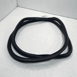 2012-22 VOLKSWAGEN PASSAT VW FRONT PASSENGER SIDE DOOR WEATHERSTRIP SEAL OE