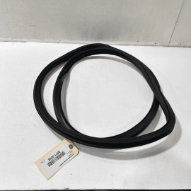 2012-22 VOLKSWAGEN PASSAT VW FRONT PASSENGER SIDE DOOR WEATHERSTRIP SEAL OE