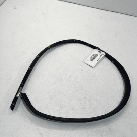 2012-2019 Volkswagen Passat VW Rear Left Driver Door Lower WeatherStrip Sea