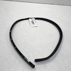 2012-2019 Volkswagen Passat VW Rear Left Driver Door Lower WeatherStrip Sea