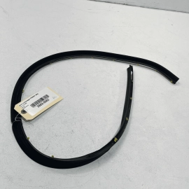 2012-2019 Volkswagen Passat VW Rear Left Driver Door Lower WeatherStrip Sea
