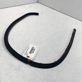 2012-2019 Volkswagen Passat VW Rear Left Driver Door Lower WeatherStrip Sea
