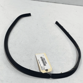 2012-2019 Volkswagen Passat VW Rear Left Driver Door Lower WeatherStrip Sea