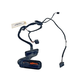 2016 - 2019 VOLKSWAGEN PASSAT VW REAR LEFT DRIVER DOOR WIRE WIRING HARNESS 