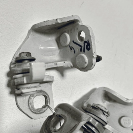 Rear Left Driver Side Door Hinge Upper & Lower Ford Escape 2013-2019 OEM