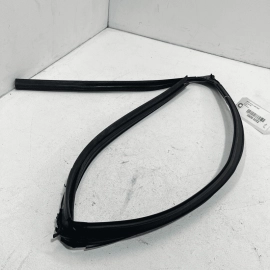 2014-2020 INFINITI Q50 FRONT LEFT DRIVER SIDE DOOR GLASS RUN WEATHER STRIP 