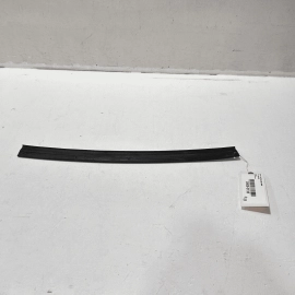 INFINITI Q50 2014-2020 REAR LEFT OR RIGHT SIDE DOOR LOWER WEATHERSTRIP SEAL