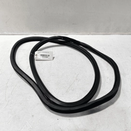 2017 - 2023 AUDI Q7 REAR LEFT DRIVER SIDE DOOR BODY WEATHERSTRIP SEAL OEM