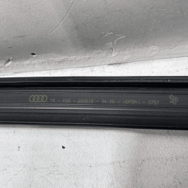 2017 - 2023 AUDI Q7 REAR LEFT DRIVER SIDE DOOR WINDOW RUN CHANNEL OEM
