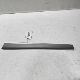 VOLKSWAGEN PASSAT 2020-2022 REAR DRIVER SIDE DOOR PANEL MOLDING TRIM COVER 