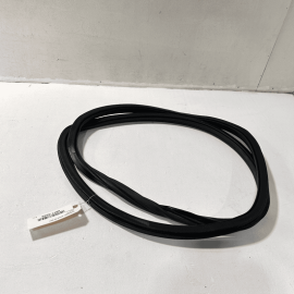 2012-22 VOLKSWAGEN PASSAT VW REAR LEFT DRIVER SIDE DOOR WEATHERSTRIP SEAL O