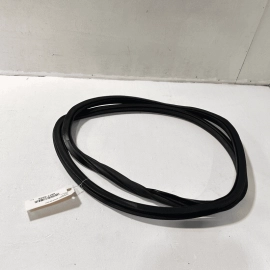 2012-22 VOLKSWAGEN PASSAT VW REAR LEFT DRIVER SIDE DOOR WEATHERSTRIP SEAL O