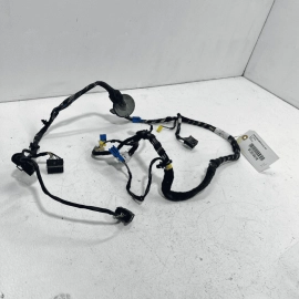 2007-2013 MERCEDES S600 S550 FRONT LEFT DRIVER SIDE DOOR HARNESS WIRE WIRIN 2007-2013 MERCEDES S600 S550 FRONT LEFT DRIVER SIDE DOOR HARNESS WIRE WIRIN