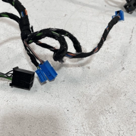 2007-2013 MERCEDES S600 REAR RIGHT PASSENGER SIDE DOOR WIRE WIRING HARNESS 